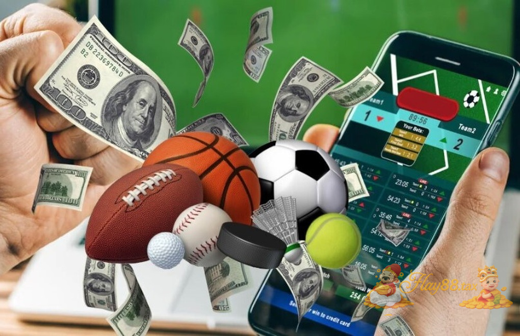 Cá cược thể thao tại Hay88 với tỉ lệ kèo hấp dẫn